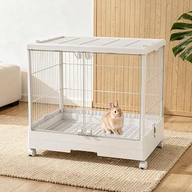 Amazon.co.jp 最新リリース: 小動物用ケージ・アクセサリ の新着